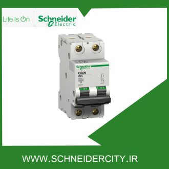 کلید مينياتوری دو پل 6 آمپر اشنایدر 24335