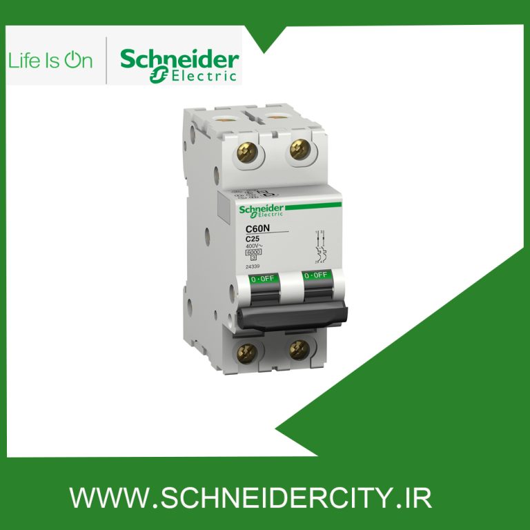 کلید مينياتوری دو پل 6 آمپر اشنایدر 24335
