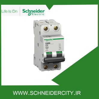 کلید مينياتوری دو پل 16 آمپر اشنایدر 24337