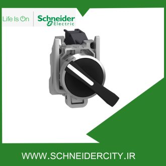 سلکتور سوئیچ فلزی دو حالته ماندگار دسته بلند اشنایدر XB4BJ21