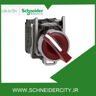 سلکتور سوئیچ فلزی دوحالته ماندگار با ولتاژ 24ولت AC/DC اشنایدر XB4BK124B5