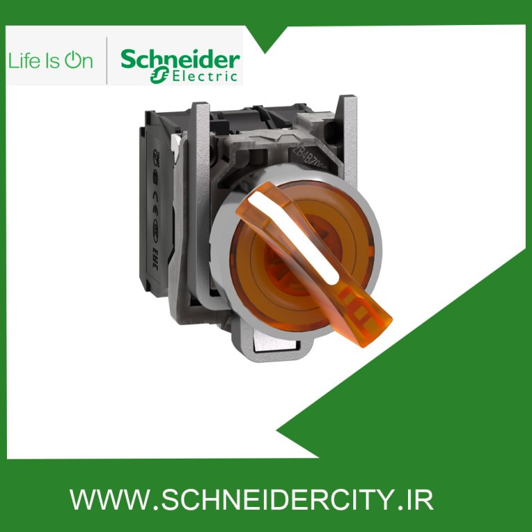 سلکتور سوئیچ فلزی دوحالته ماندگار با ولتاژ 24 ولت AC/DC اشنایدر XB4BK125B5