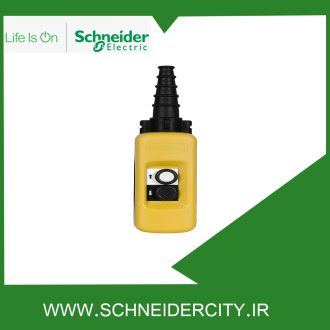 کلید جرثقیل تک سرعته دو دکمه اشنایدر XACA271